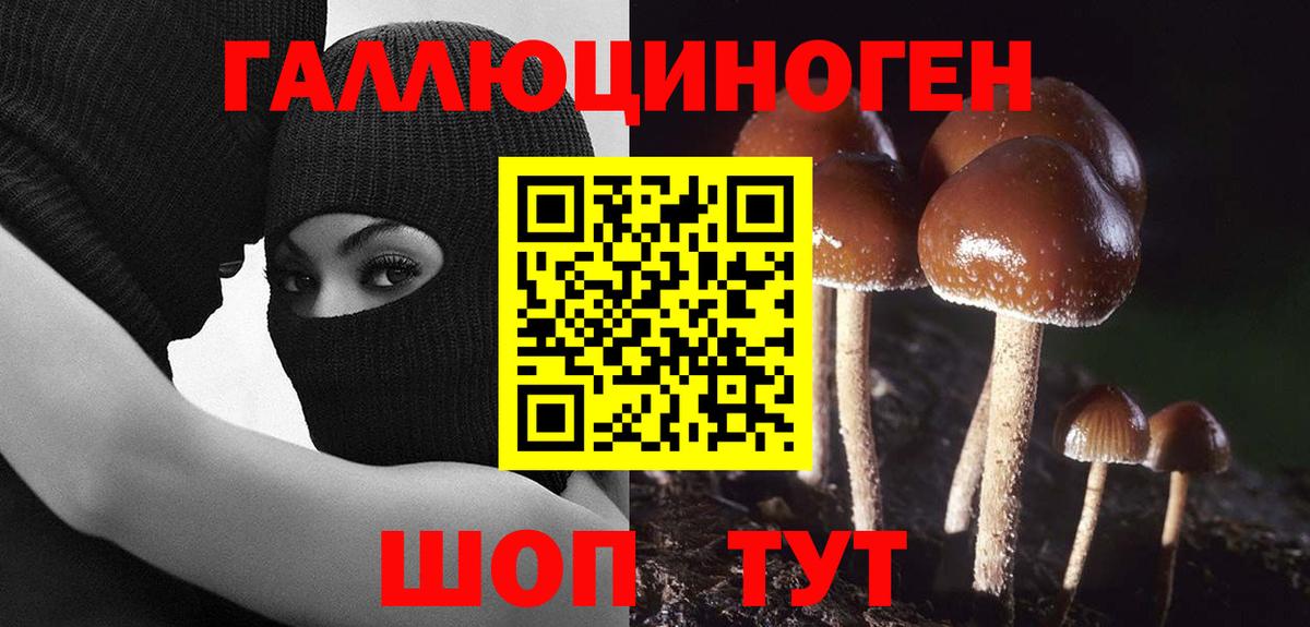 Галлюциногенные грибы мицелий  Псилоцибиновые грибы Magic Shrooms  Вход с VPN  Елизово 